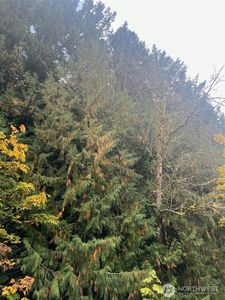 0 US Hwy 12, Randle, WA, 98377