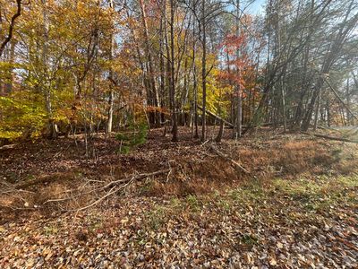 0 Stripers Ln, Moneta, VA, 24121