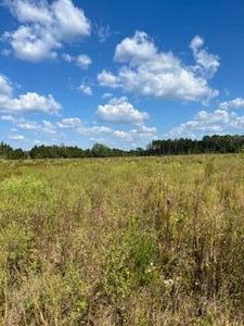 Garrett Rd, Silver Creek, MS, 39663