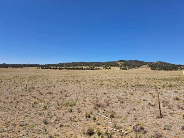 104 Navajo Trl, Hartsel, CO 80449