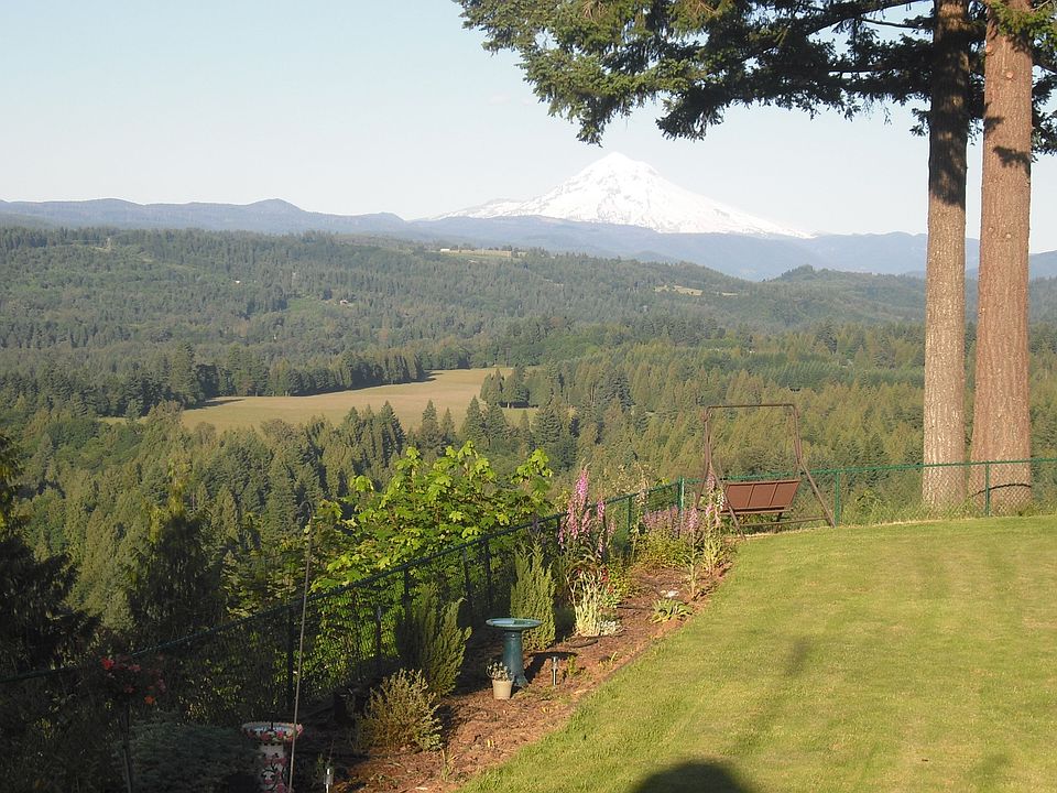 Back Yard View of Mt Hood