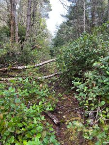 0 SW Forestry Way, Waldport, OR, 97394