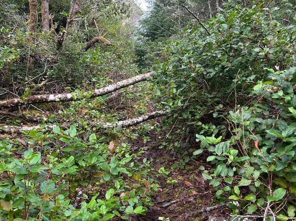 0 SW Forestry Way, Waldport, OR 97394