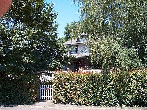 Summertime from Street