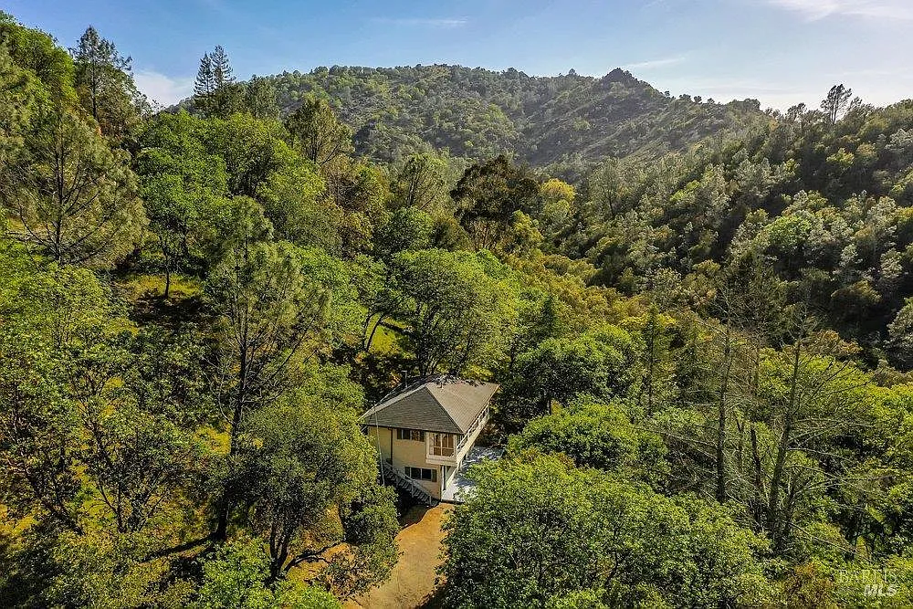 3100 Soda Canyon Rd - Photo 2