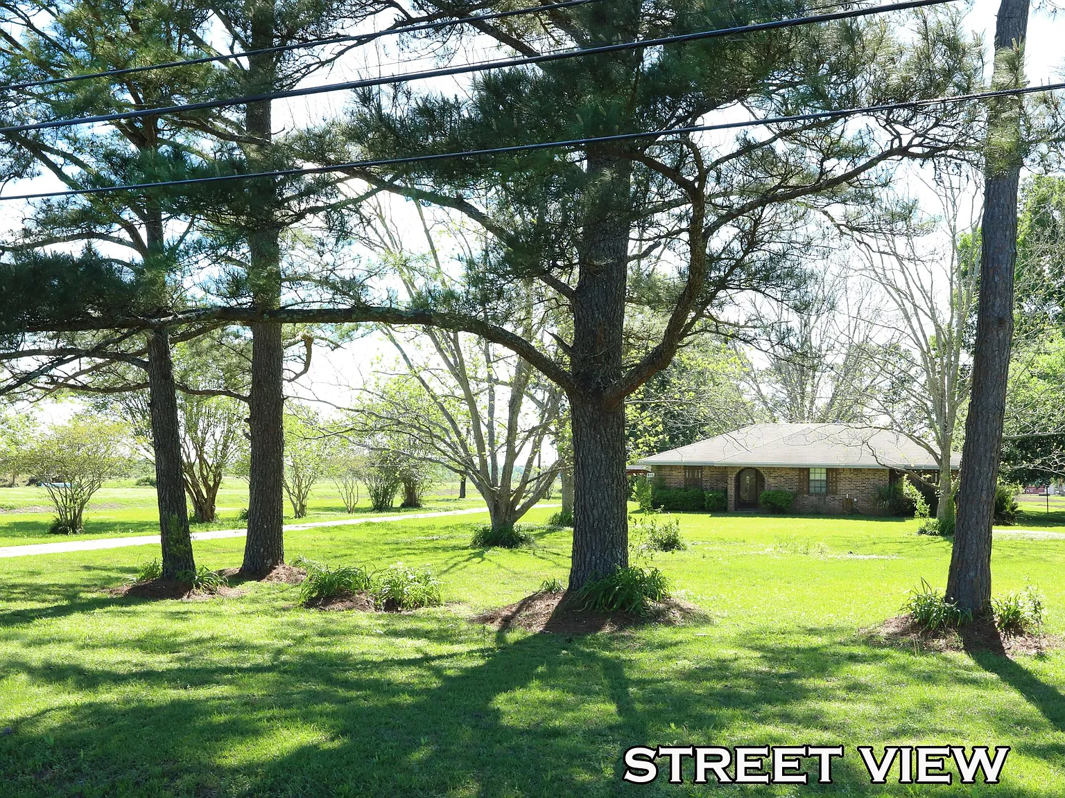 3 bed, 1700 sqft, $2,000 — Photo 3