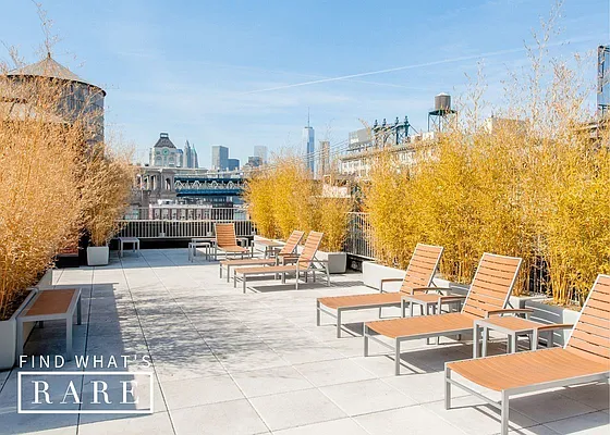 Rented by Find What’s Rare | media 16