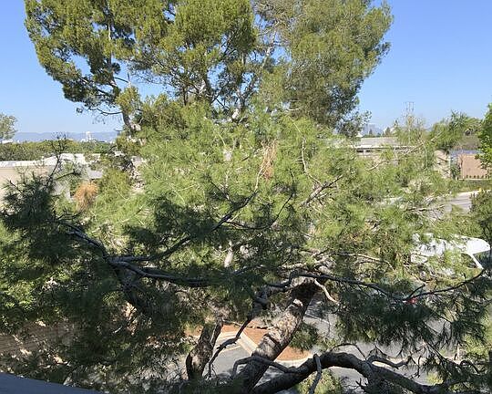 2nd image of 3205 Raintree Cir