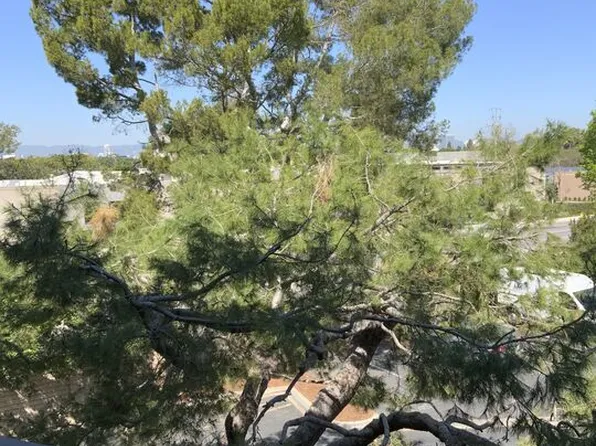 3205 Raintree Cir, Culver City, CA 90230