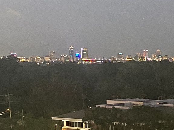 Downtown Jax Skyline