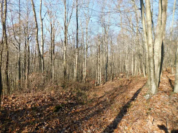 33213A Veterans Memorial Memorial Hwy, Terra Alta, WV 26764