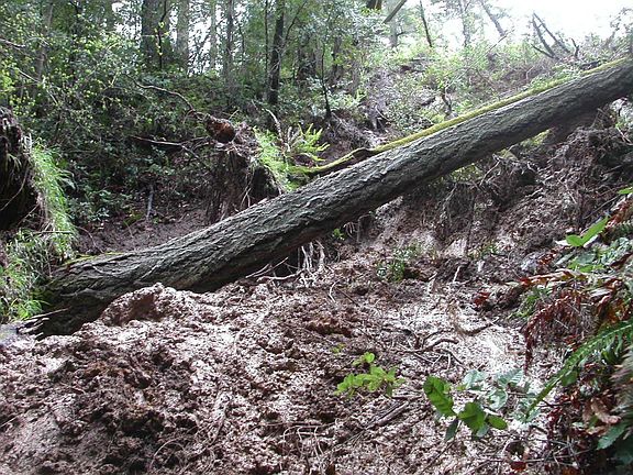 Hillside comes apart again