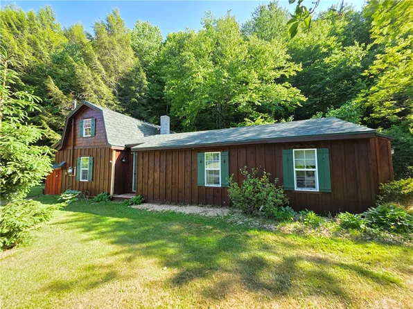 219 Lulu Coon Rd, Unadilla, NY 13849