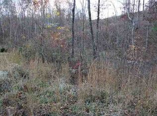 363 Randall Fugate Rd, Spring City, TN 37381