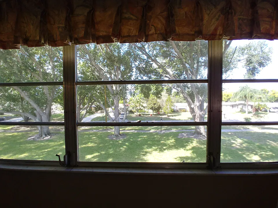 N. View from Living Room