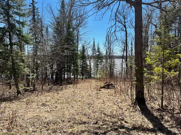 Busties Lake Dr, Effie, MN 56639