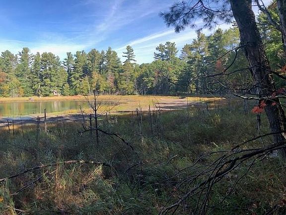 5th image of Lot 10 PATRICE PINES LN