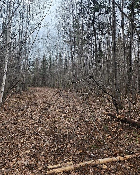 0 West Lake Drive, Mellen, WI 54546 MLS 1575933 Zillow