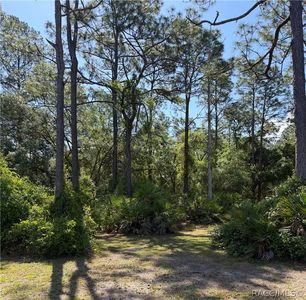 0 Se 180th Avenue Rd., Ocklawaha, FL, 32179