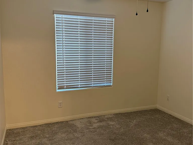 4522 Kali Lyn St — Photo 18