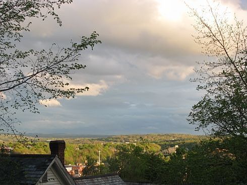 View from Kitchen