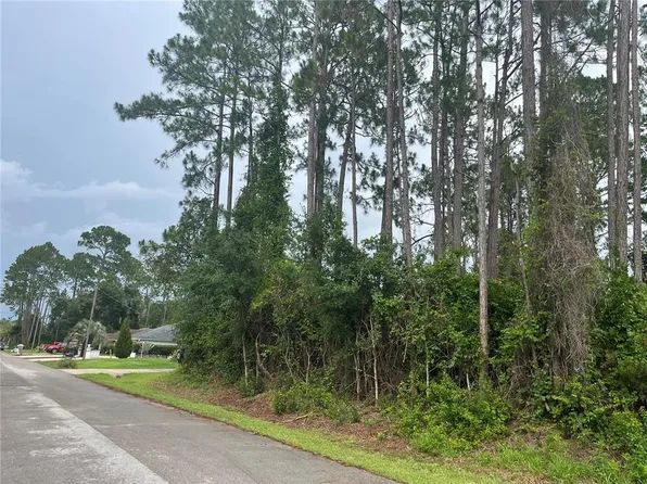 58 Brunett Ln Lot 42, Palm Coast, FL 32137