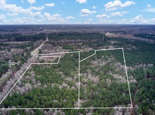 0 Gum Branch Rd, Saint George, SC 29477