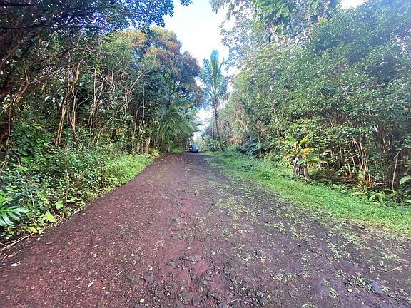 5th image of Lanai St Lot 703