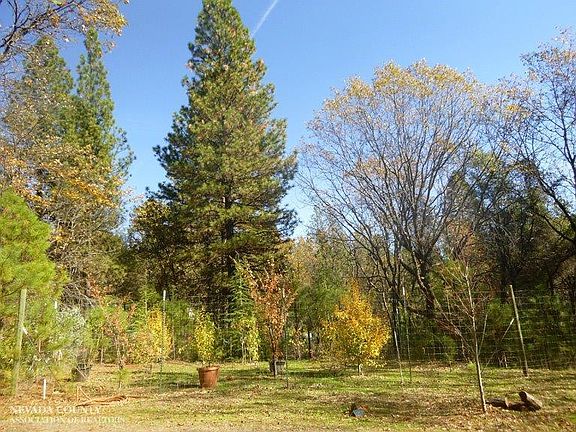 3rd image of 10142 Candlewood Way