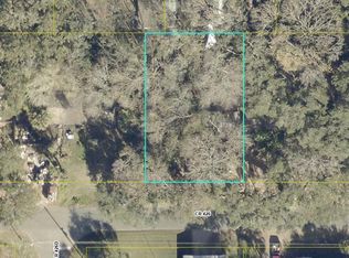 County Road 426 Lot 16, Lake Panasoffkee, FL 33538