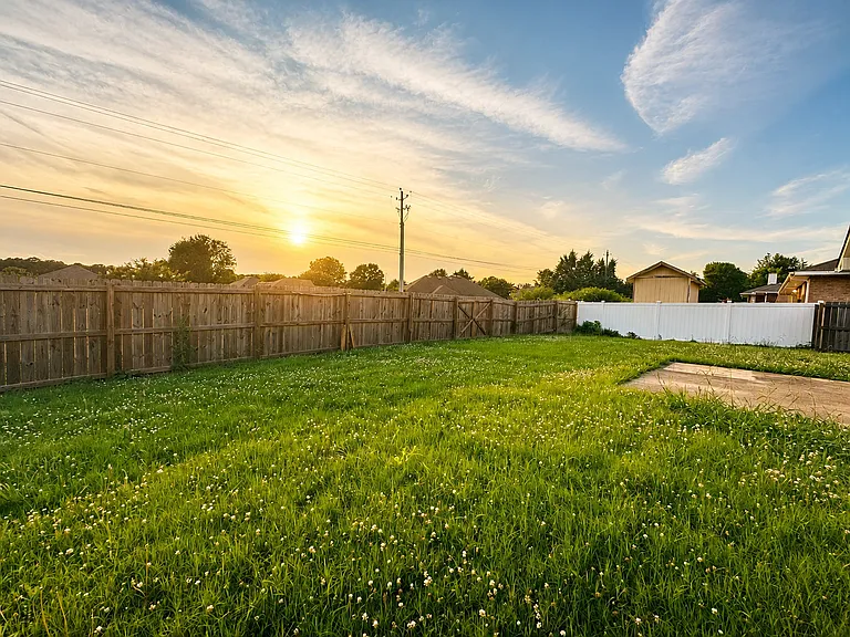 Backyard