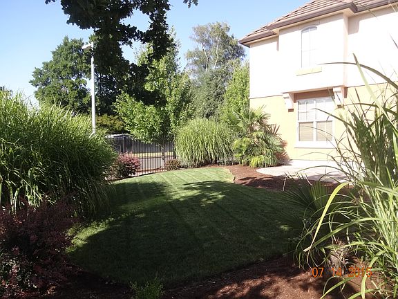 Low maintenance front yard