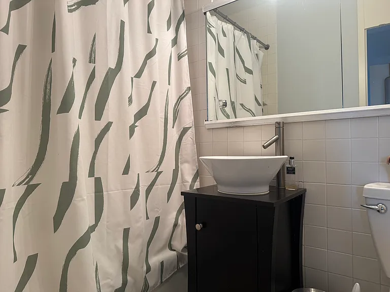 65 E India Row #31A — Photo 5