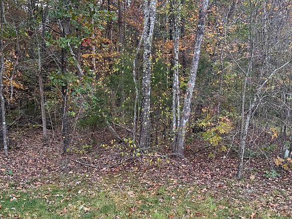4th image of 10150 Rainbow Ln