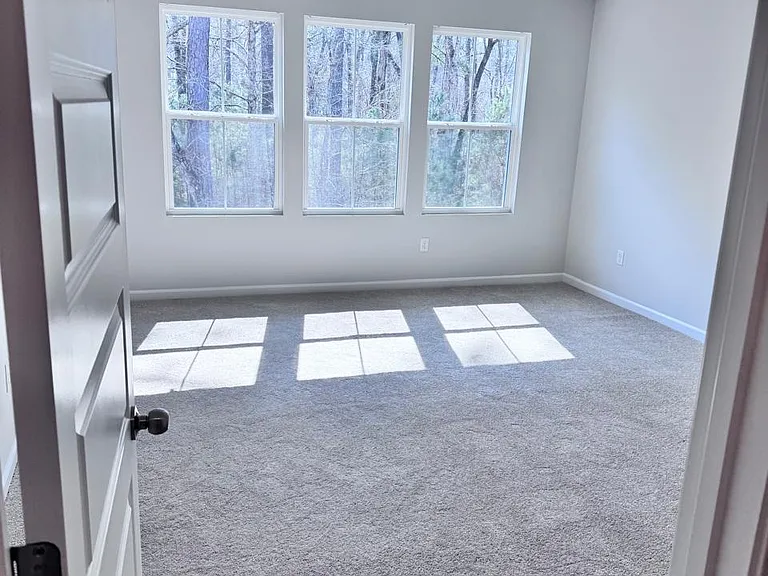 169 Fern Bridge Dr — Photo 13