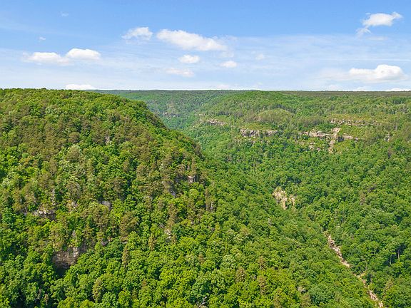 4th image of 8981 Big Bend Rd
