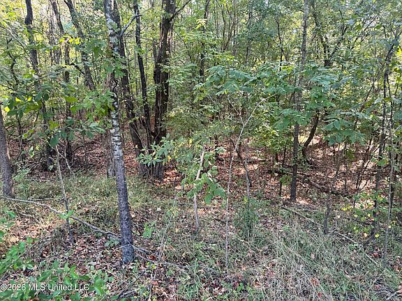 4th image of 0 S Red Banks Rd