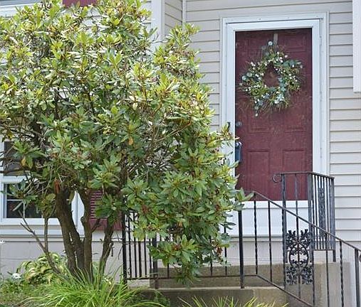 3rd image of 2342 Penny Ln