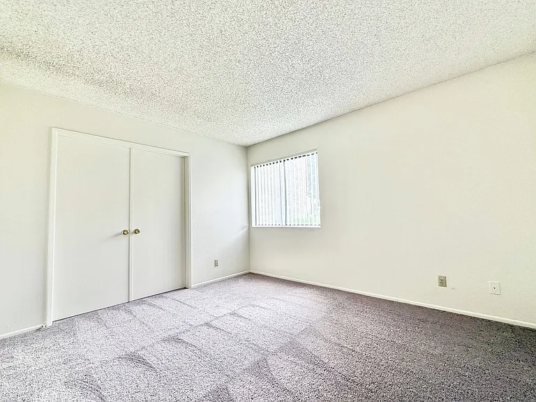 NewBL PS T 81351 — Photo 9