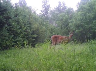 315 Airport Rd, Crystal Falls, MI 49920