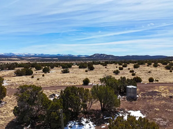 41 Antelope Rd, Concho, AZ 85924