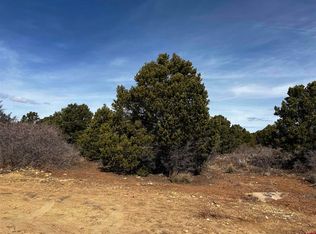 1 Road J.7, Egnar, CO 81325