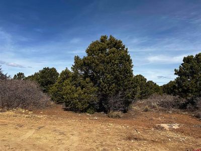 Lot 1 Road J.7, Egnar, CO, 81325