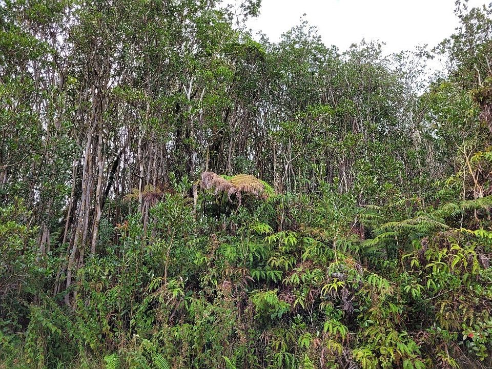 2nd image of Road 7 Lot 377