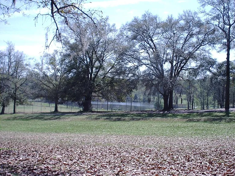 1901 Darryl Dr — Photo 13