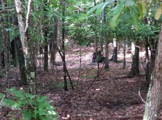 123 Teaberry Trl, Banner Elk, NC 28604