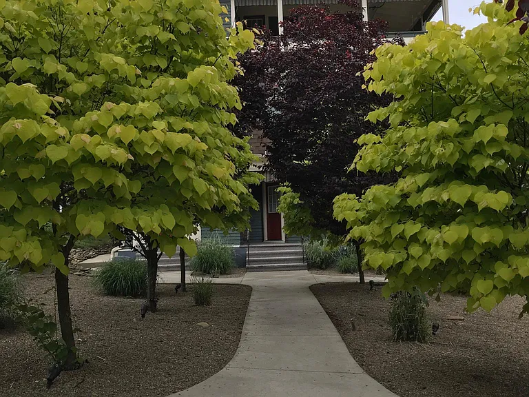 304 Central Ave #4 — Photo 11
