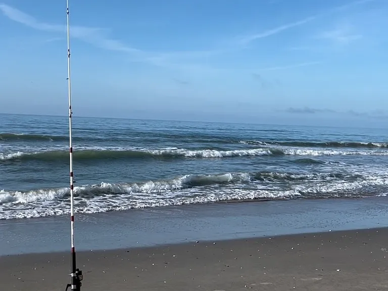 Your beach facing south