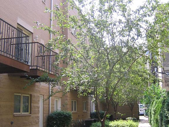 2nd image of 919 W Leland Ave