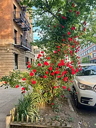 Rented by Voro NYC